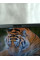 БВ Ноутбук Fujitsu Lifebook E734