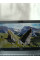 БВ Ноутбук Fujitsu LIFEBOOK U938