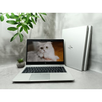 БВ Ноутбук HP EliteBook 745 G6