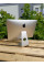 БВ Моноблок Apple iMac A1418 18.1